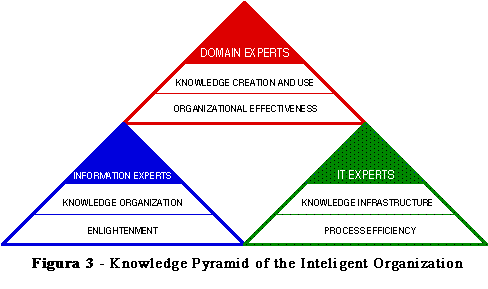 Figura 3 - Knowledge Pyramid of the Inteligent Organization